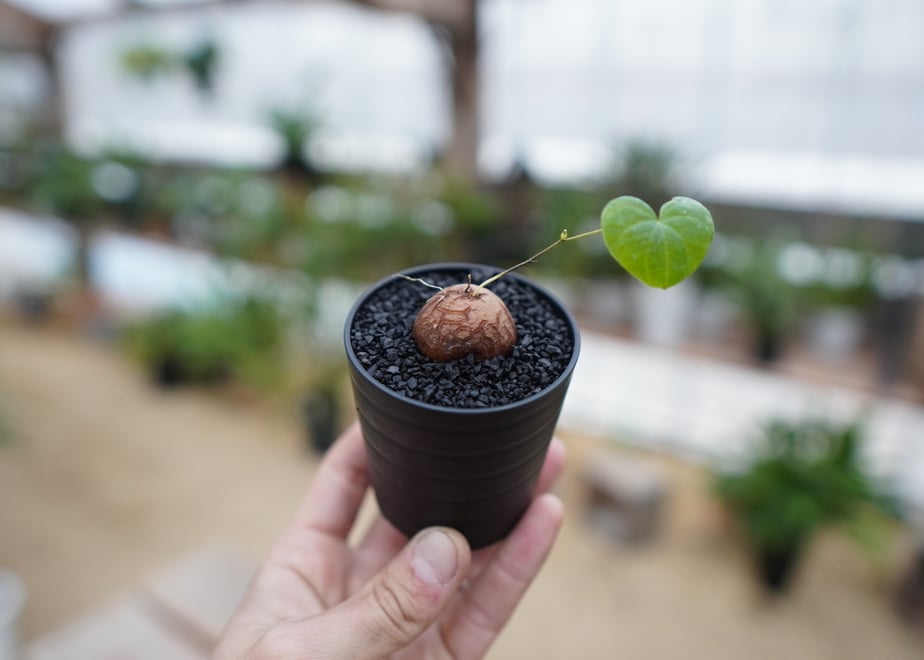 65d80cd715680f0791f5e69e