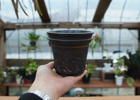 保田修作  pot No.59