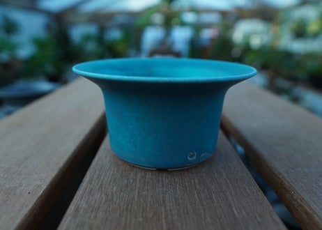 持木祐一 pot  No.30