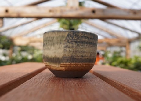 關まどか pot NO.14-1　F
