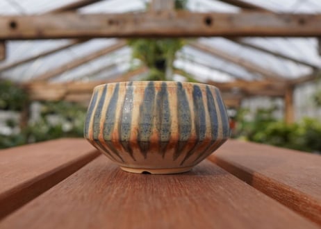 關まどか pot NO.23-2　Ｇ