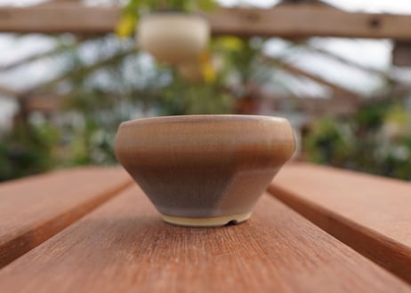 關まどか pot NO.4-3