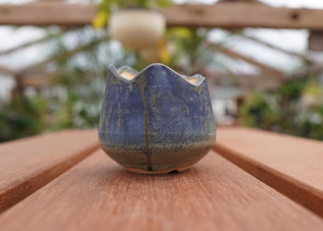 關まどか pot NO.3-2　F