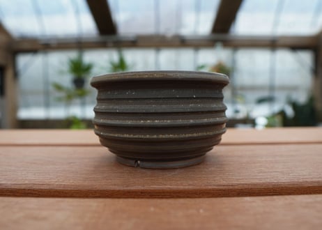 保田修作  pot No.26