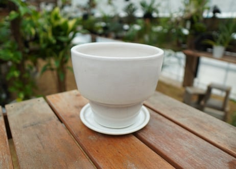 植木鉢　鉢皿付き　No.4