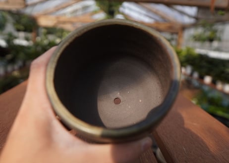 關まどか pot NO.14-2　F