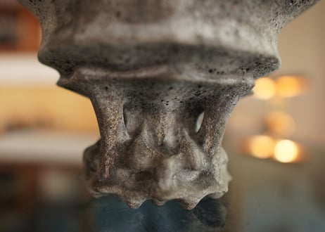 十十 草冠  pot No.5