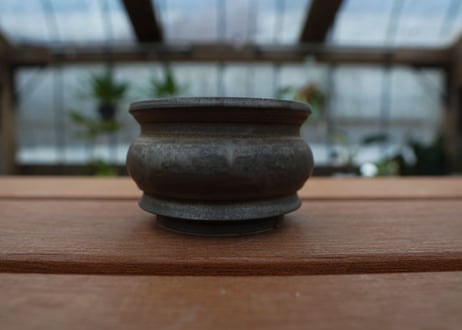 保田修作  pot No.19