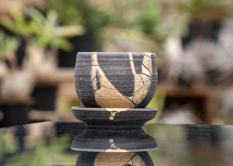 新品未使用】作家鉢 手作り 観葉 多肉 塊根 芽の巣山 カタチ