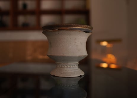 molle épine pot NO.12