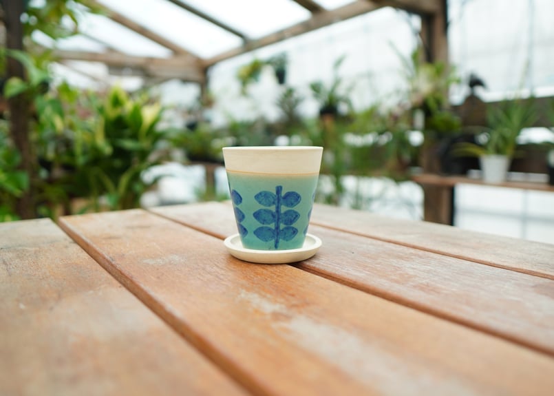 植木鉢 鉢皿付き No.5 | mana's farm:塊根植物・アガベ・ドライ