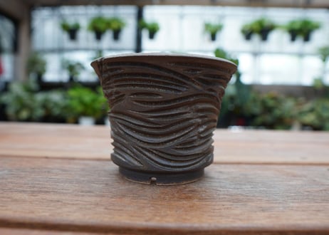 保田修作  pot No.18