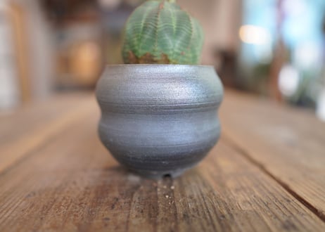 ユーフォルビア　オベサ　Euphorbia obesa