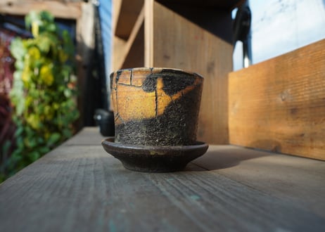 hechicami pot No.8