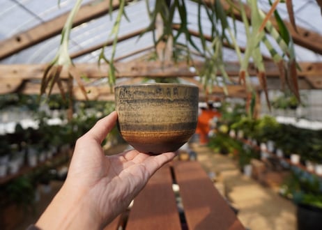 關まどか pot NO.14-1　F