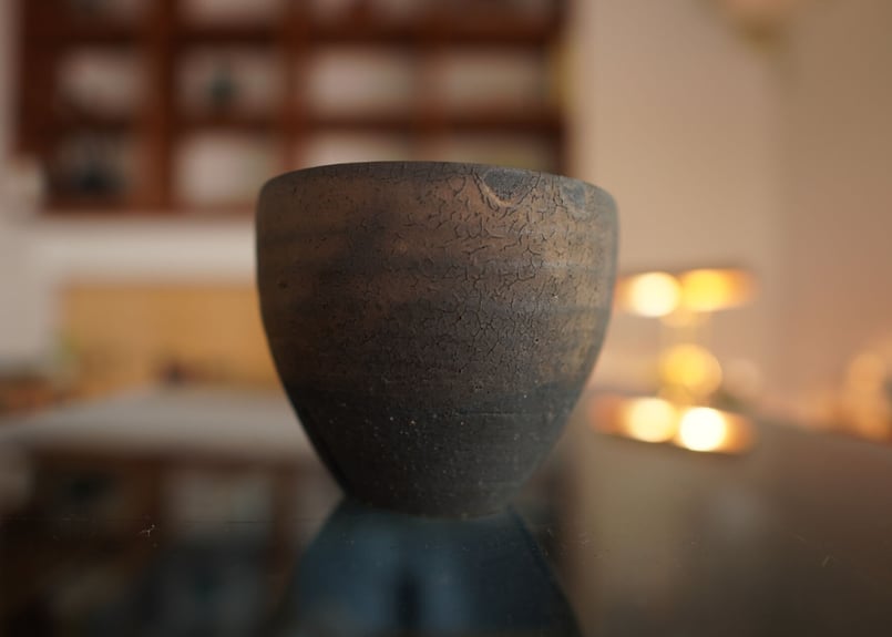 沼野秀章 pot No.5 | mana's farm:塊根植物・アガベ・ドライガーデン