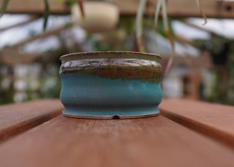持木祐一pot NO.4