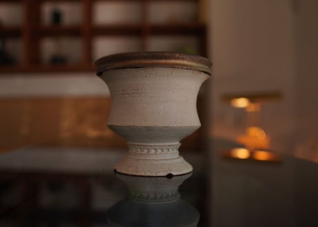 molle épine pot NO.12