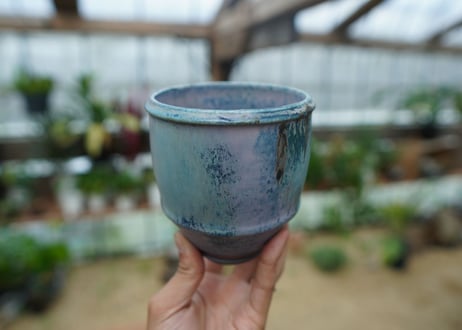 神田知広pot No.5