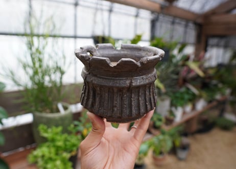 保田修作  pot No.20
