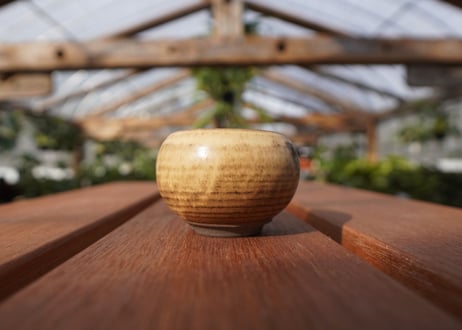關まどか pot NO.19-2