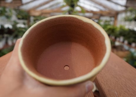 關まどか pot NO.26-3 F