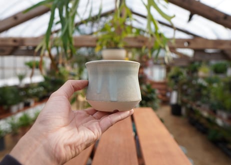 關まどか pot NO.5-8　Ｇ