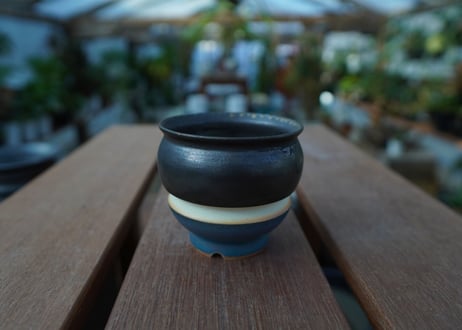 持木祐一 pot  No.18