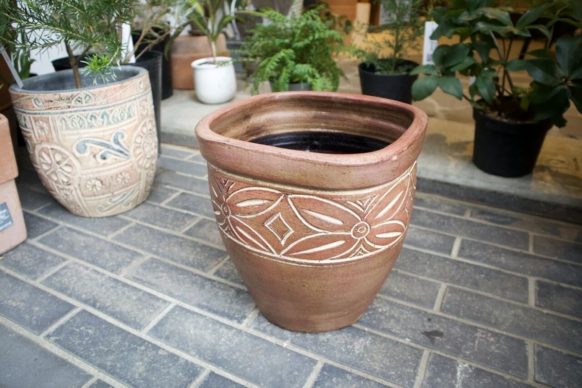 テラコッタ鉢 小 | mana's farm:塊根植物・アガベ・ドライガーデン植物