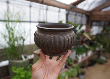 保田修作  pot No.16