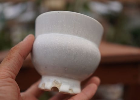 持木祐一pot NO.10