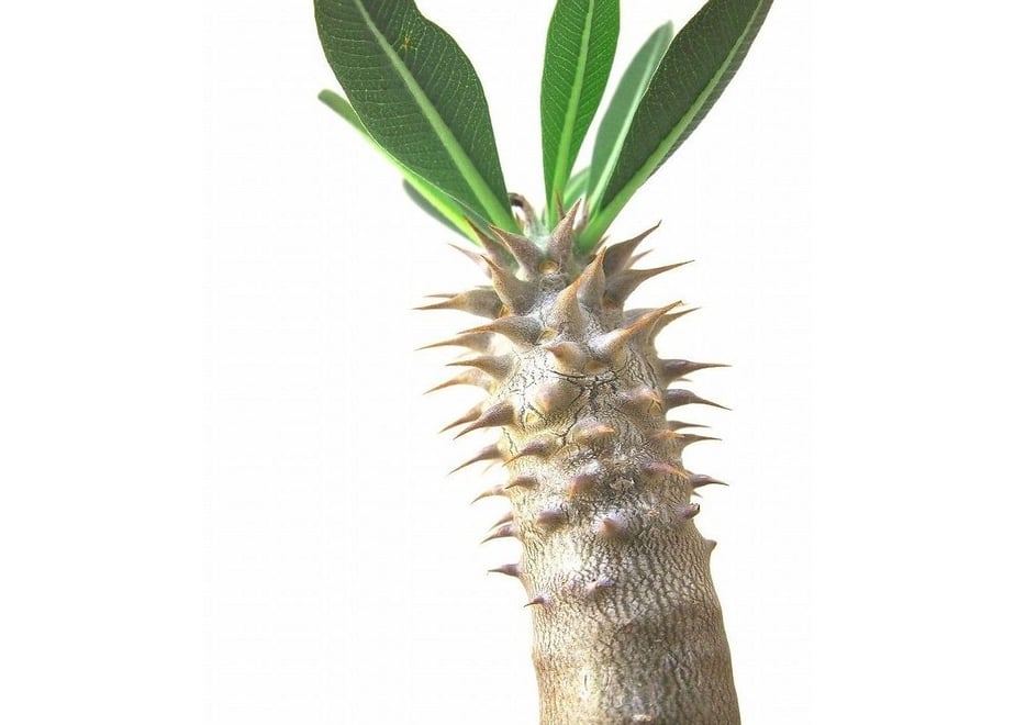 570cd4476c96e6b06702162b