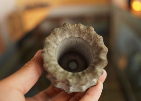 十十 草冠  pot No.4