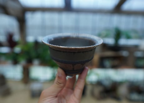 Muddy Punk pot No.16