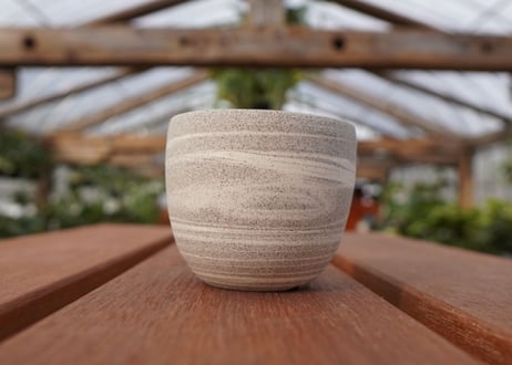 關まどか pot NO.22-3 F