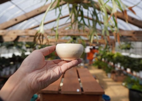 關まどか pot NO.20-2