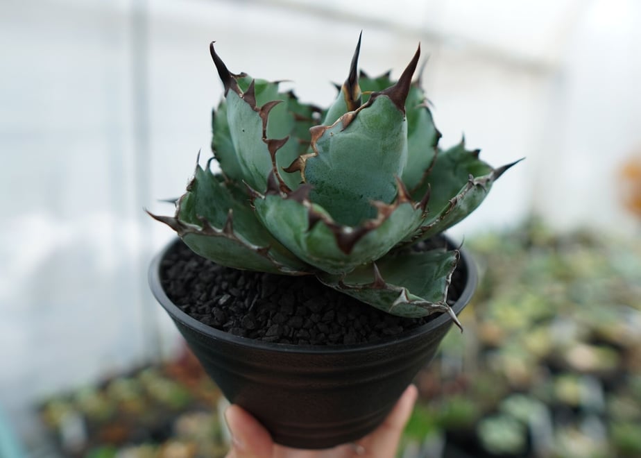 6430f18e544a4b002ab61a7d