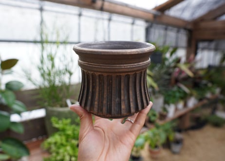 保田修作  pot No.19