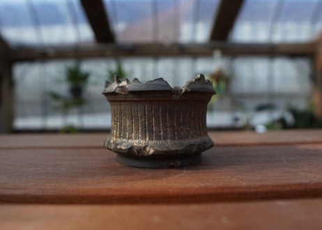 保田修作  pot No.11