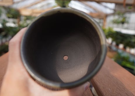 關まどか pot NO.14-3 F