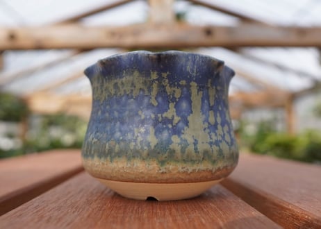 關まどか pot NO.12-2 F