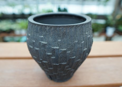 沼野秀章 pot No.5