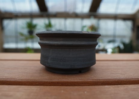 保田修作  pot No.17