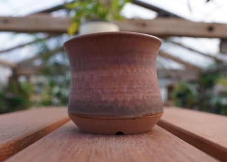 關まどか pot NO.10-5　Ｇ