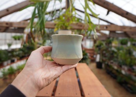 關まどか pot NO.5-5　F