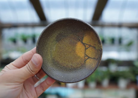 hechicami pot NO.15