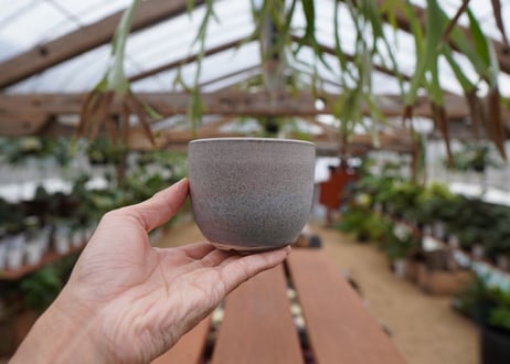 關まどか pot NO.30-5 F