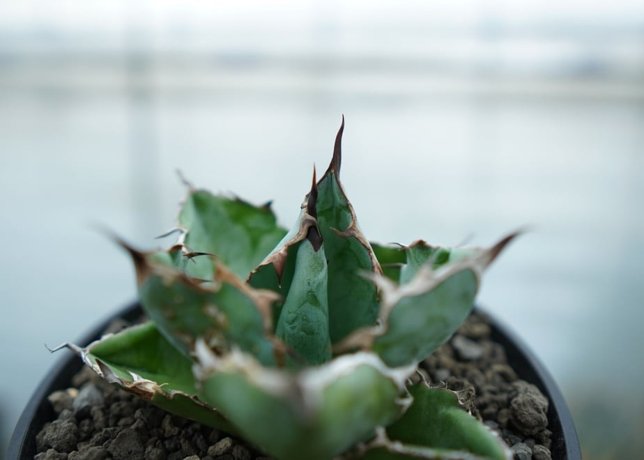 63f6c8b362239639c21df59f