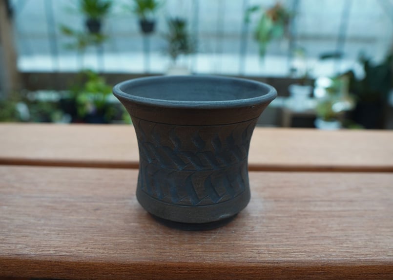 保田修作 pot No.57 | mana's farm:塊根植物・アガベ・ドライガーデン植