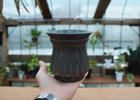 保田修作  pot No.41